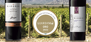 Ricordi Cabernet Sauvignon 2021 y Ricordi Reservado Malbec 2020 distinguidos con Medalla de Oro en el concurso Guarda 14